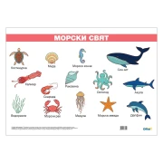 Thumbnail 1 of Office 1 Ученическо табло ''Морски свят'', ламинирано, 50 x 70 cm, модел 1