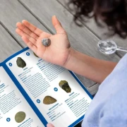 Thumbnail 6 of Learning Resources Колекция вкаменелости