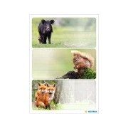 Thumbnail 2 of Herma Самозалепващи се етикети Горски животни, ученически, 9 броя