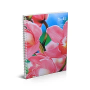 Thumbnail 2 of Тетрадка, A5, широки редове, 2 теми, офсетова хартия, метална спирала, мека корица, 80 листа