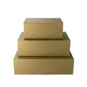 Thumbnail 2 of Office 1 Кутия Matt, с магнитно затваряне, сгъваема, 23 х 15 х 10 cm, златиста