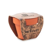 Thumbnail 3 of More Than Gifts Слънчоглед за отглеждане, в саксия