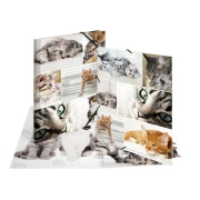 Thumbnail 4 of Herma Папка Animals, картонена, с ластик, A4, котки