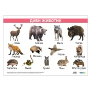 Thumbnail 1 of Office 1 Ученическо табло ''Диви животни'', ламинирано, 50 x 70 cm, модел 2