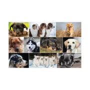 Thumbnail 3 of Herma Подложка за бюро, 55 x 35 cm, кучета