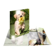 Thumbnail 3 of Herma Папка Animals, картонена, с ластик, A4, PP, кучета
