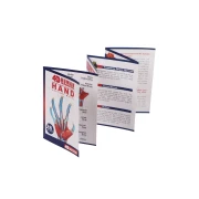 Thumbnail 3 of Gelsonlab Модел на ръка