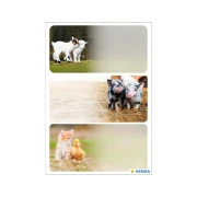 Thumbnail 2 of Herma Самозалепващи се етикети Животни от ферма, ученически, 9 броя