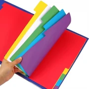 Thumbnail 2 of Foska Разделител, картонен, 180 g/m2, 10 цвята