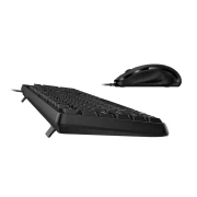 Thumbnail 3 of Комплект клавиатура Genius и мишка KM-170, с кабел и кирилизация, USB, 3 бутона на мишката, 12 бързи бутона на клавиатурата, черни