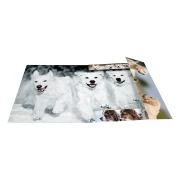 Thumbnail 2 of Herma Папка Animals, картонена, с ластик, A4, кучета