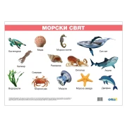 Thumbnail 1 of Office 1 Ученическо табло ''Морски свят'', ламинирано, 50 x 70 cm, модел 2