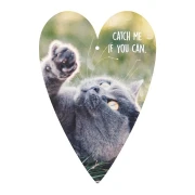 Thumbnail 1 of Gespaensterwald Картичка-таг, котка