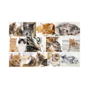Thumbnail 2 of Herma Подложка за бюро, 55 x 35 cm, котки