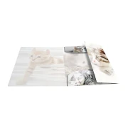 Thumbnail 2 of Herma Папка Animals, картонена, с ластик, A4, PP, котки