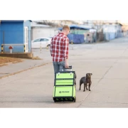 Thumbnail 4 of Количка за инструменти Fieldmann FDN 4150