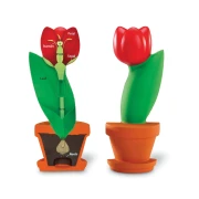 Thumbnail 1 of Learning Resources Модел разрез цвят на лале