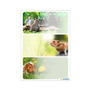 Thumbnail 2 of Herma Самозалепващи се етикети Гризачи, ученически, 9 броя
