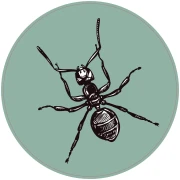 Thumbnail 1 of STEM Стикер, Природни науки - Биология, комплект F6, 50 cm, стикер 2