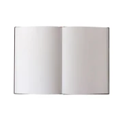 Thumbnail 3 of Paperblanks Скицник Van Gogh's Irises, 205 х 300 mm, 56 листа