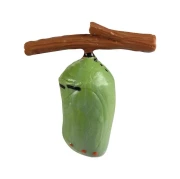 Thumbnail 2 of Жизнен цикъл на пеперуда Eduplay