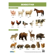 Thumbnail 2 of Office 1 Ученическо табло ''Растения и животни'', двустранно, 50 x 70 cm