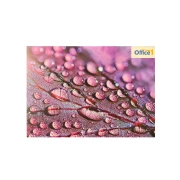 Thumbnail 6 of Office 1 Мостреник, UV печат, 2021 година