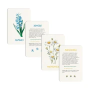 Thumbnail 2 of Office 1 Образователни карти - Растения, 43 броя