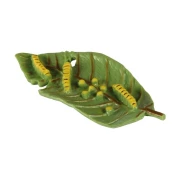 Thumbnail 3 of Жизнен цикъл на пеперуда Eduplay