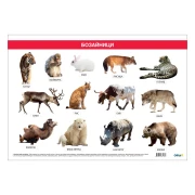 Thumbnail 1 of Office 1 Ученическо табло ''Бозайници'', 100 x 70 cm