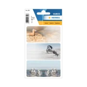 Thumbnail 2 of Herma Самозалепващи се етикети Коне, ученически, 9 броя