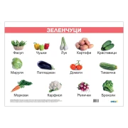 Thumbnail 1 of Office 1 Ученическо табло ''Зеленчуци'', ламинирано, 70 x 50 cm