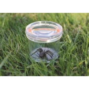 Thumbnail 1 of Learning Resources Буркан за наблюдение на насекоми