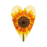 Thumbnail 1 of Gespaensterwald Картичка-таг, слънчоглед