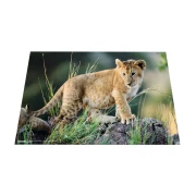Thumbnail 3 of Herma Подложка за бюро, 55 x 35 cm, с африкански животни
