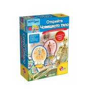 Thumbnail 2 of Игра Частите на човешкото тяло