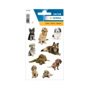 Thumbnail 2 of Herma Самозалепващи се етикети Кучета, 3 листа