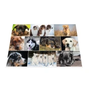 Thumbnail 5 of Herma Подложка за бюро, 55 x 35 cm, кучета