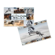 Thumbnail 4 of Herma Подложка за бюро, 55 x 35 cm, коне