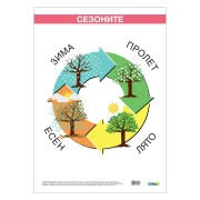 Thumbnail 1 of Office 1 Ученическо табло ''Сезони'', ламинирано, 50 x 70 cm