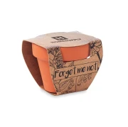 Thumbnail 4 of More Than Gifts Цвете Незабравка, в саксия