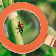 Thumbnail 9 of Small Foot Колан с инструменти за изследване Discover