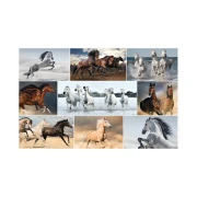 Thumbnail 5 of Herma Подложка за бюро, 55 x 35 cm, коне