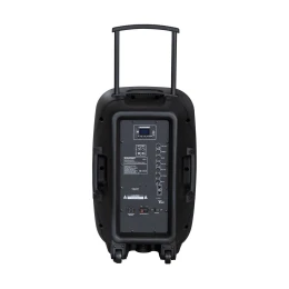 Снимка на Тонколона Blaupunkt PA12, караоке, с Bluetooth, FM радио, USB/SD/AUX, 650 W, с 1 кабелен микрофон, черна