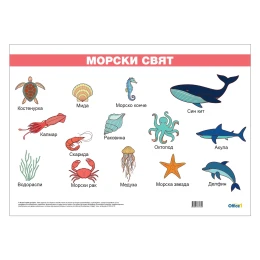 Снимка на Office 1 Ученическо табло ''Морски свят'', ламинирано, 50 x 70 cm, модел 1