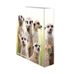 Снимка на Herma Класьор Animals, 7 cm, на сурикати