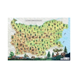 Снимка на DataMap Стенна карта на растения и животни в България и света, двустранна, 100 x 70 cm