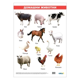 Снимка на Office 1 Ученическо табло ''Домашни животни'', ламинирано, 50 x 70 cm, модел 2