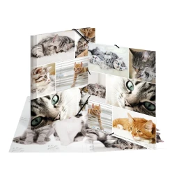 Снимка на Herma Папка Animals, картонена, с ластик, A4, котки