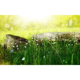 Снимка на Глава на работен календар, лукс, 4+0, с капса